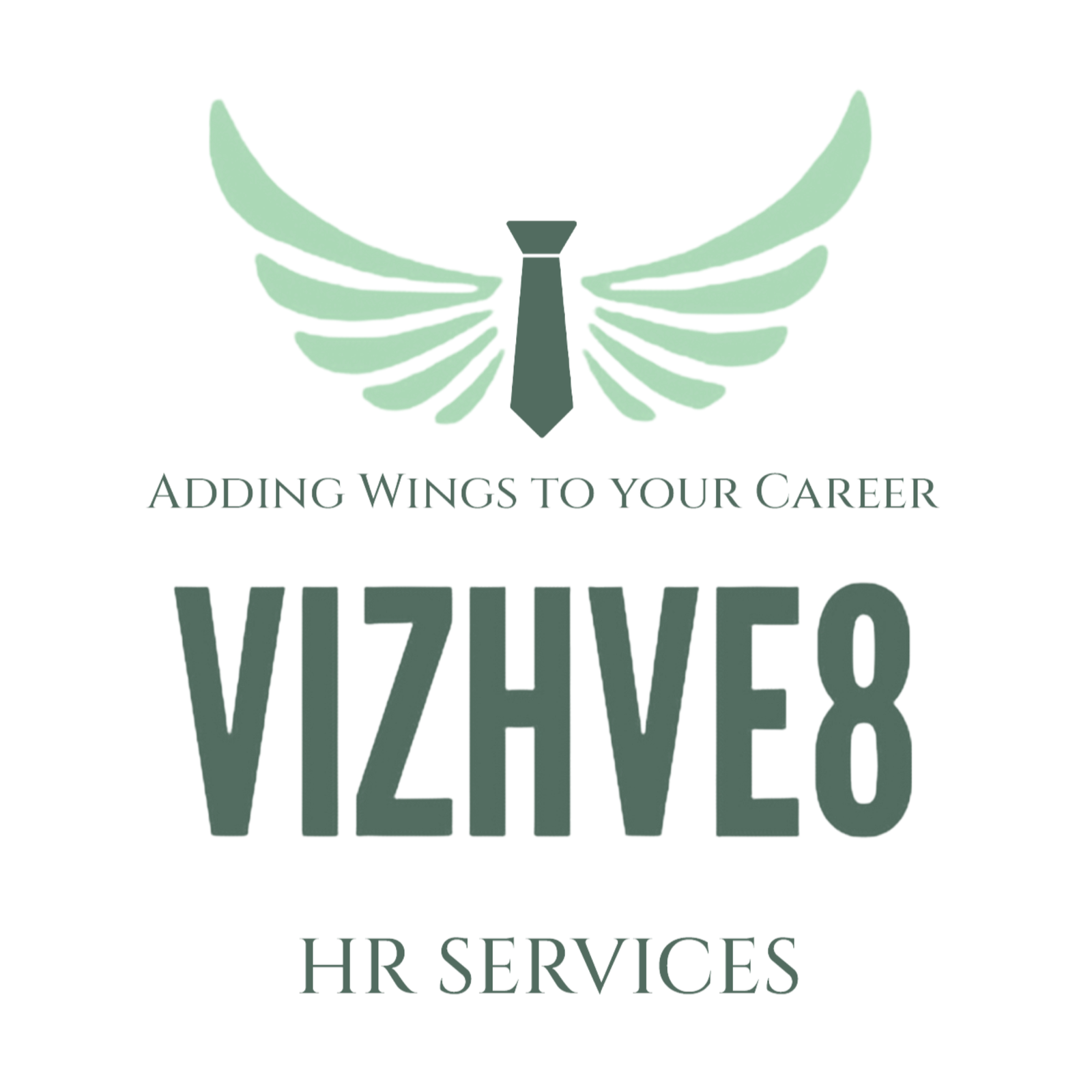 Vizhve8